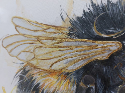 bee cause i love you wing closeup